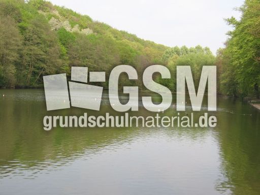 Teich.jpg